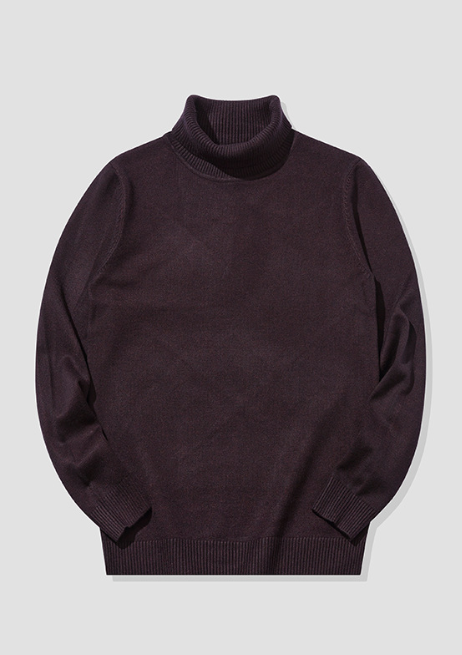 Sherwin - Warm Turtleneck Jumper Men