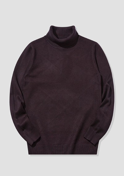 Sherwin - Warm Turtleneck Jumper Men